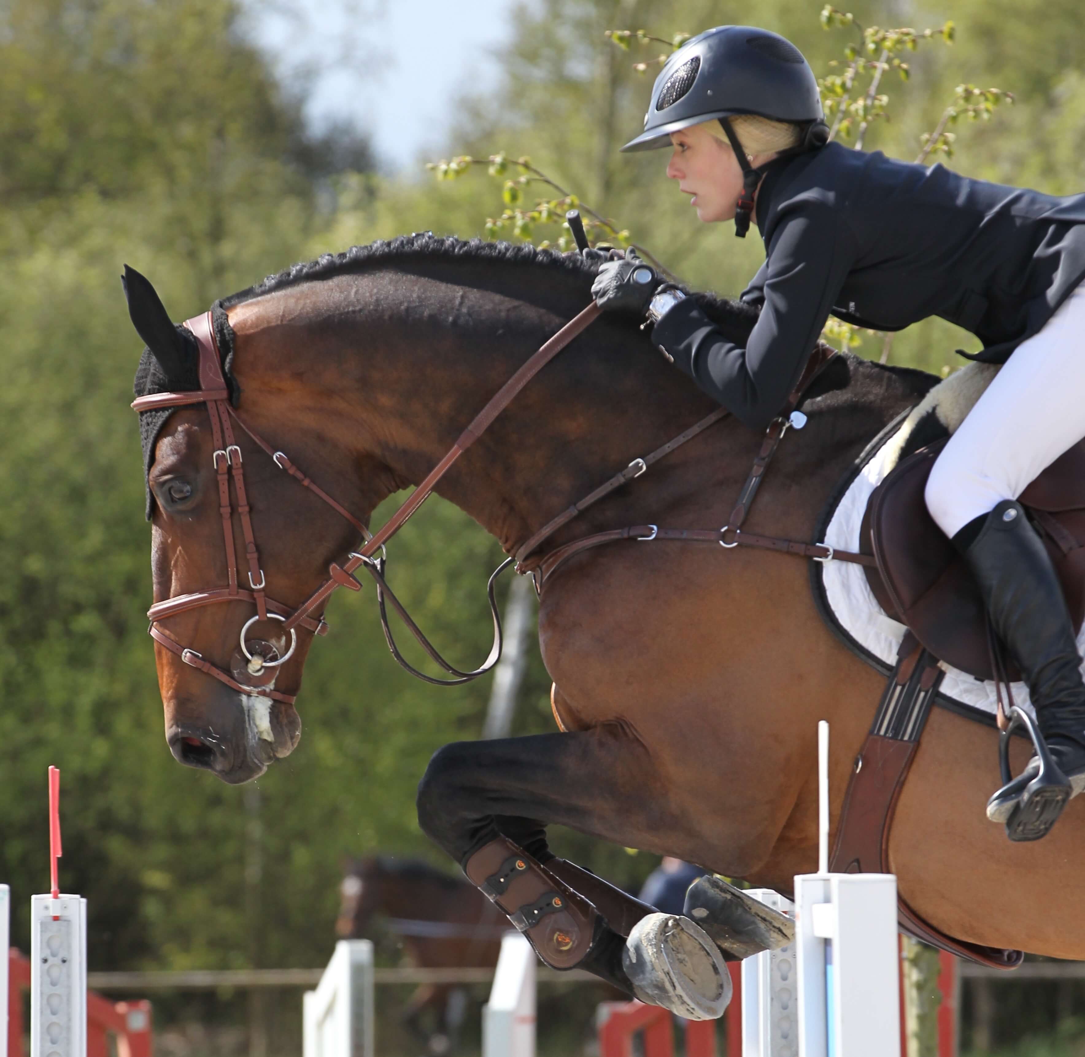 ÉMIR DE VY clear in 140 class @CSI3* Beervelde!