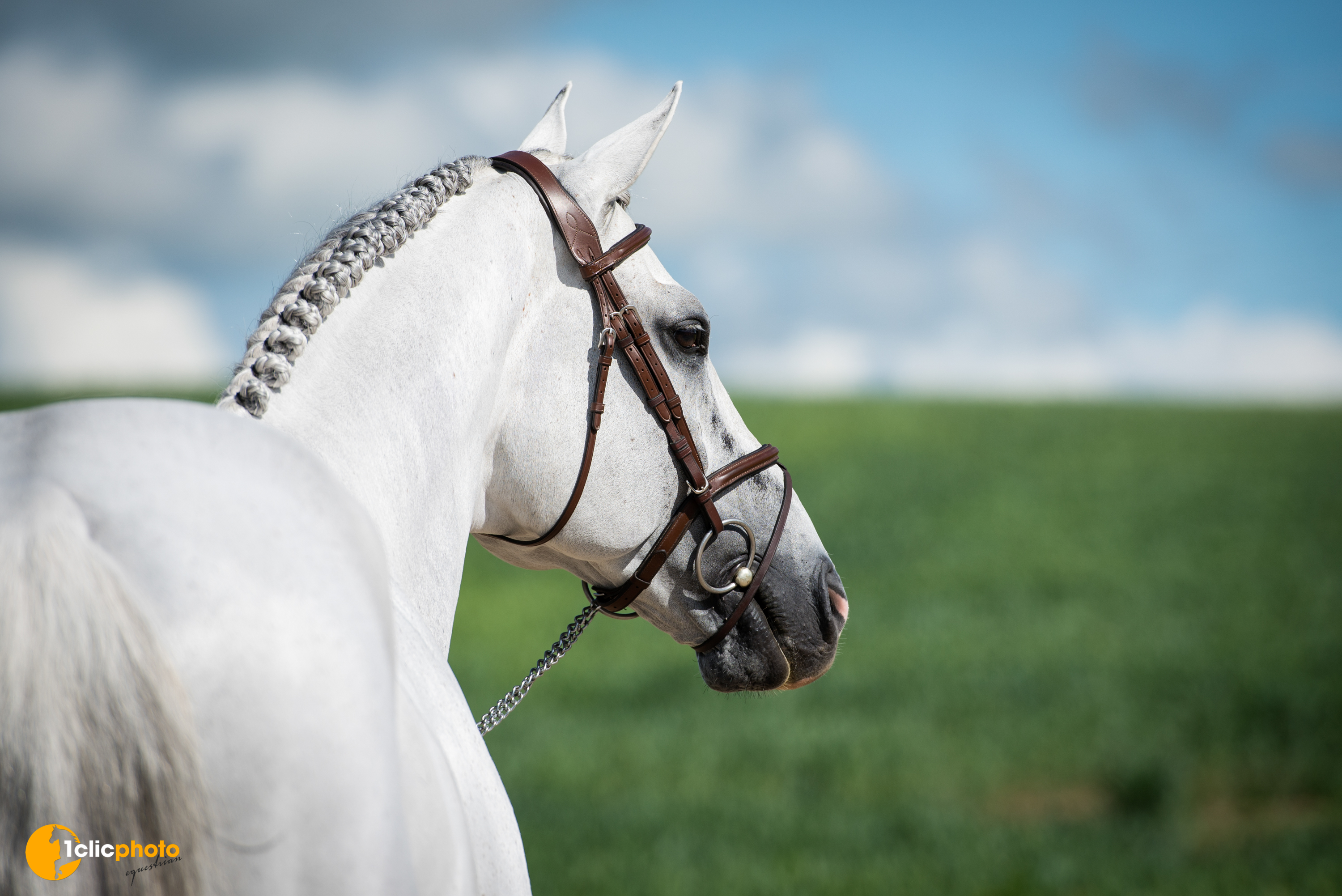 ALICANTE in the 5* Grand Prix @ Knokke