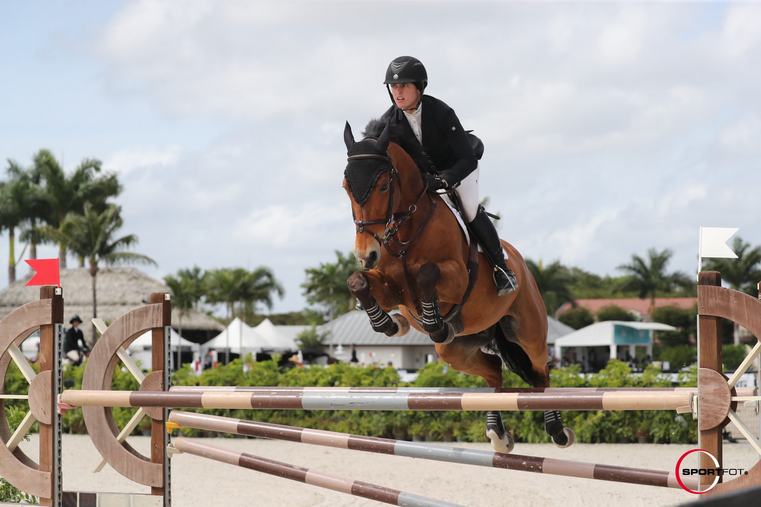 We are happy to see reference Darknight de Maluga doing well with his new rider Mckayla Langmeier!