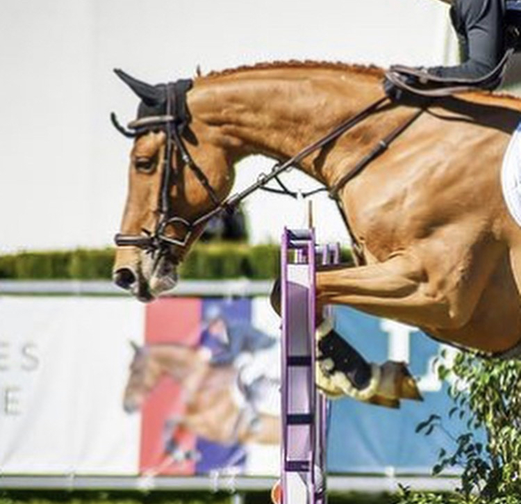 Jolly Dutch and Brianne Goutal in fantastic form at ESP Holiday & Horses