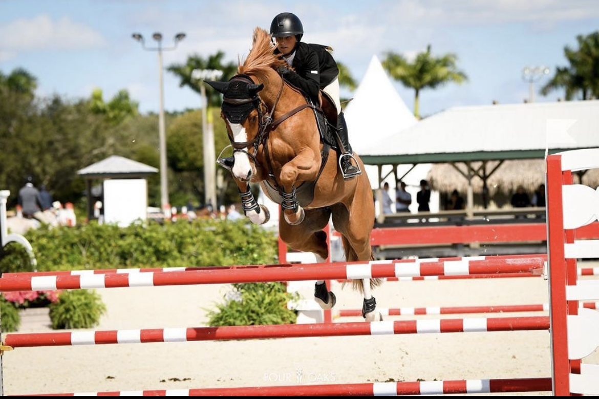 “Jakilly” and Taylor St Jacques with another clear rounds in yesterdays class!