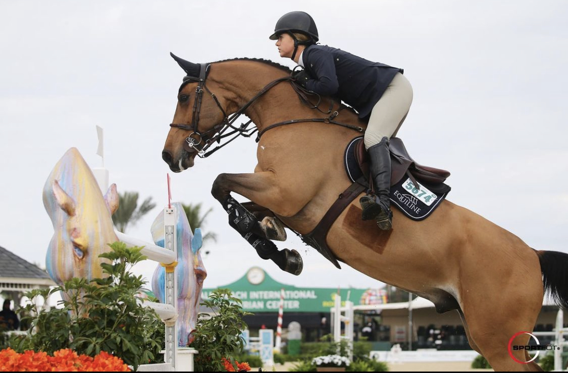 Reference Koddac van het Indihof and Chandler Meadows taking the 5th place in the High Amateur Jumper class at week 6 at WEF.