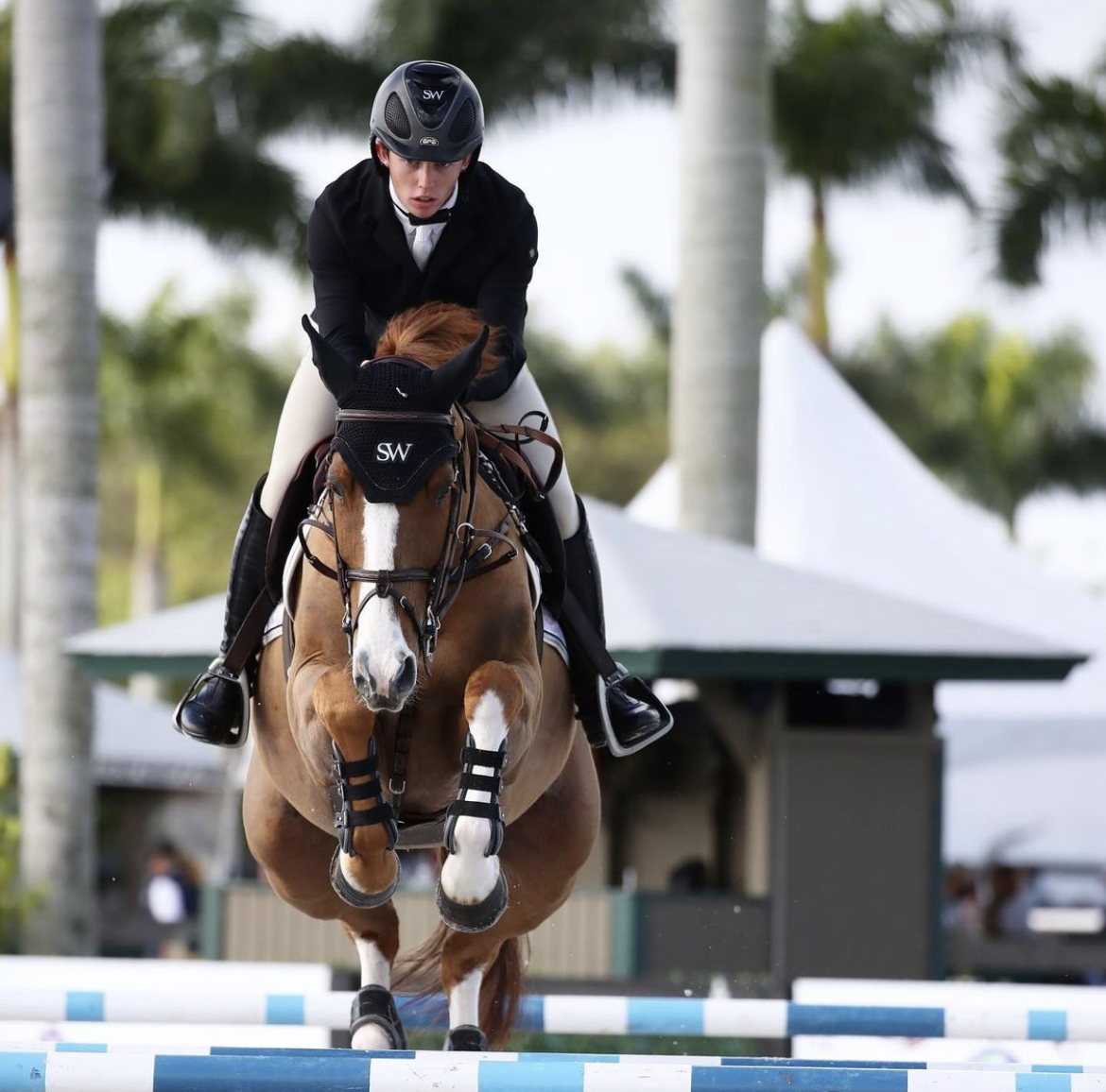 Dreamin Blue and Sam Walker double clear in the Southern Arches 1.30m at WEF.