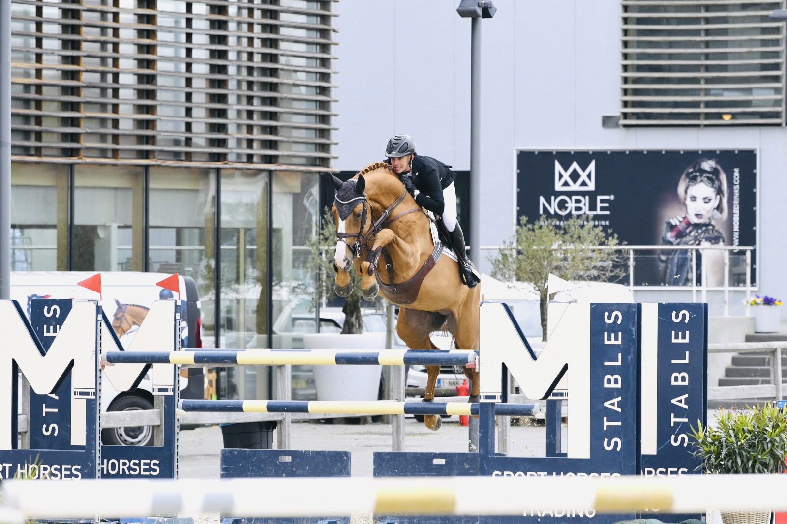 3/3 clear rounds for Babou du Rouet and Niels Fockaert in the CSI2* 1.40m at Sentower Park!