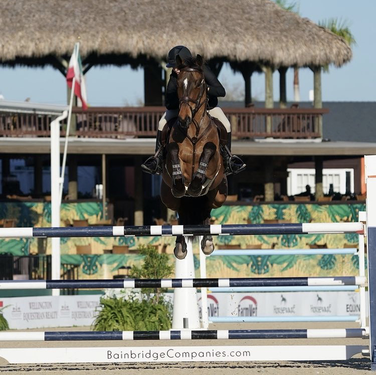 Our references shine at WEF!