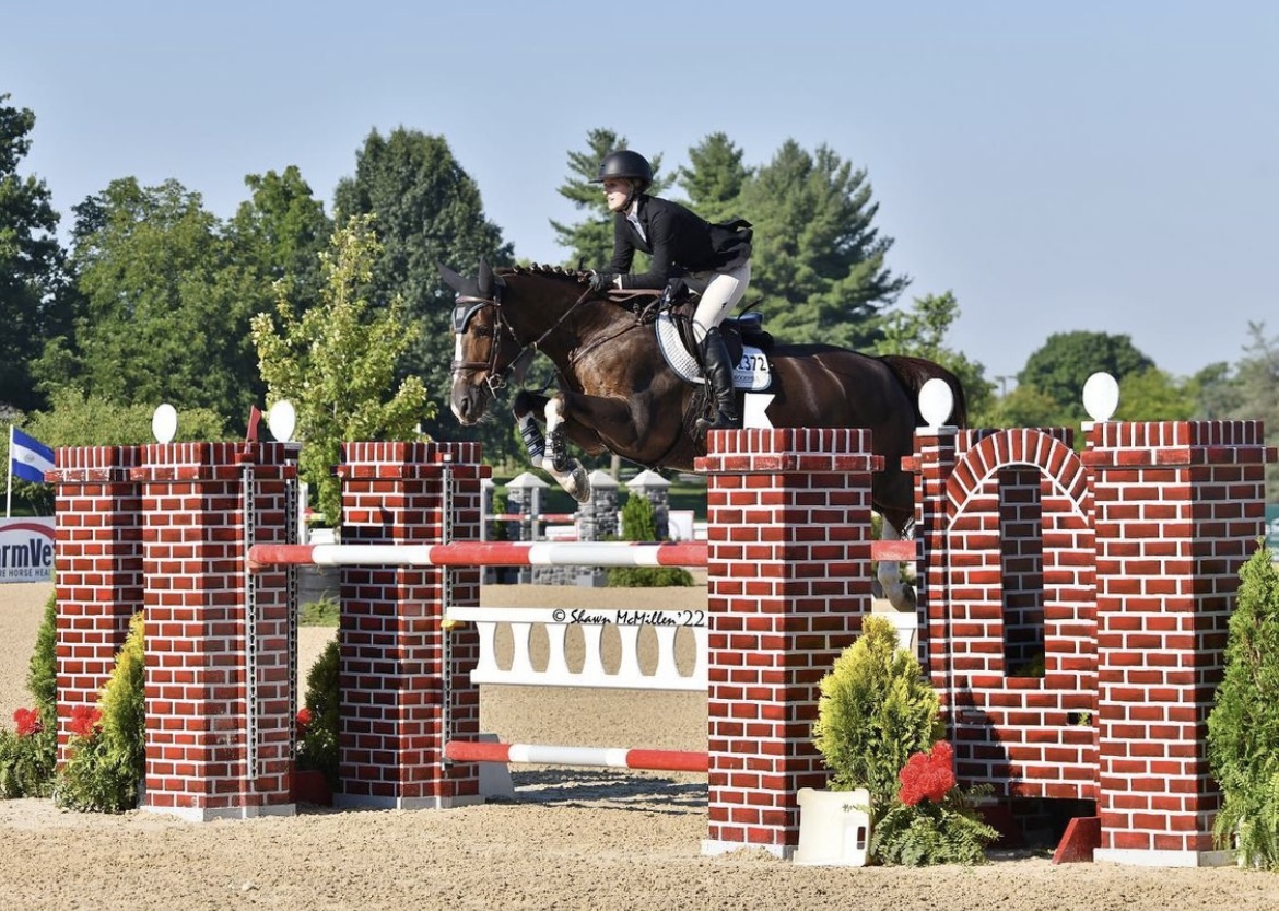 Reference Paddington taking the 4th place in the 7yo Jumpers at Kentucky Horse Show!