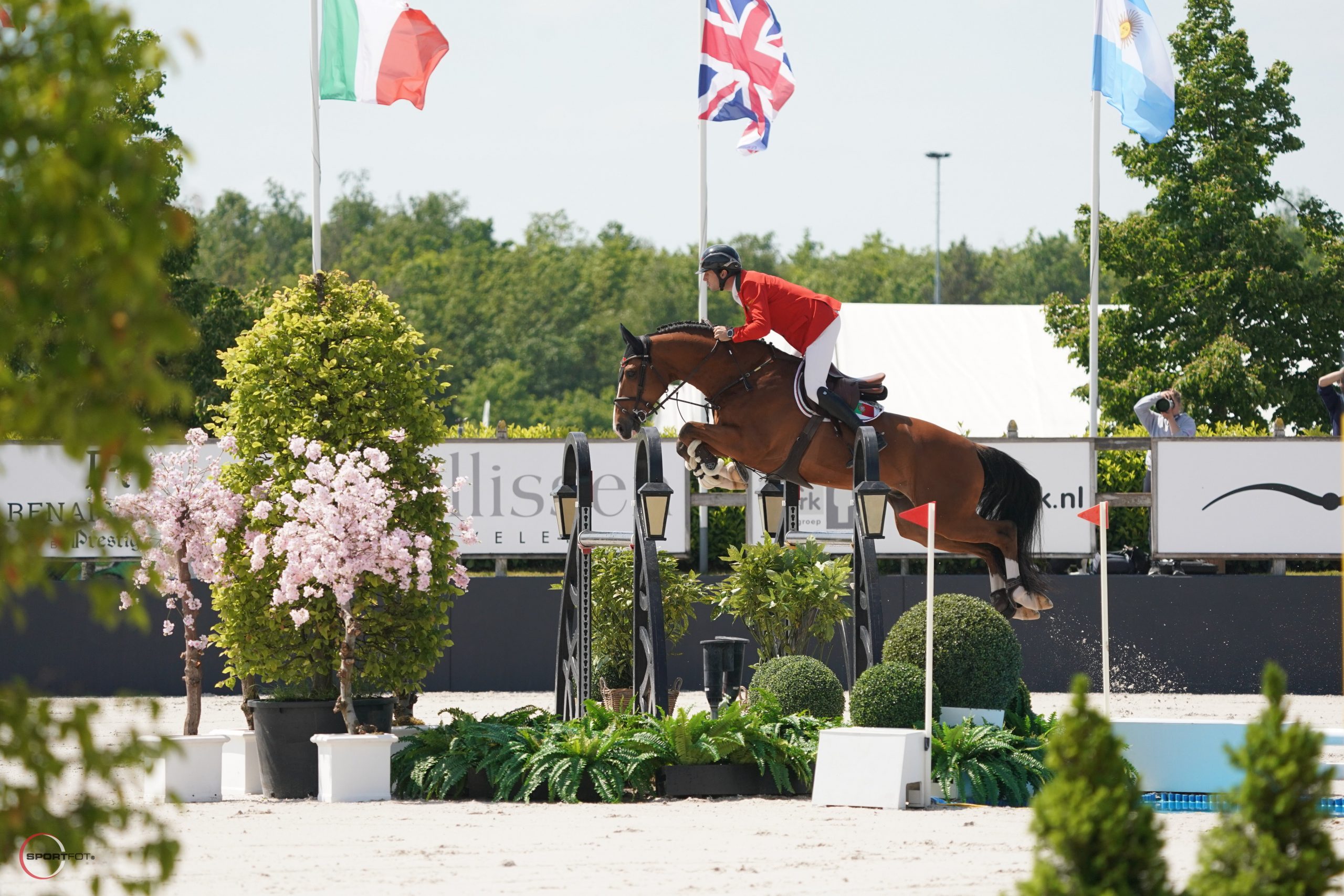 Jordan Molga M in the CSIO3* Nations Cup in Peelbergen to help team Portugal qualifying to the semi final in Deauville!