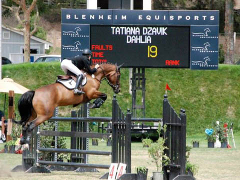 TMS horses score at Blenheim Equisport